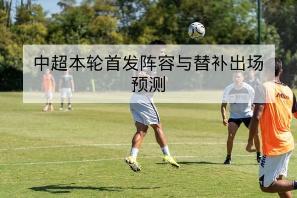 中超球队伤病名单与外援复出时间表查询